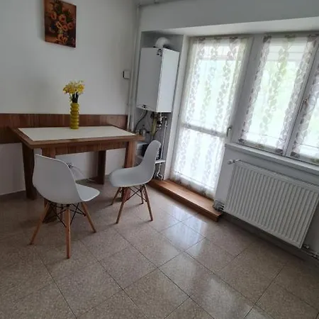 Vs Central Apartment Otopeni Exterior photo
