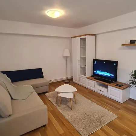 Vs Central Apartment Otopeni Exterior photo
